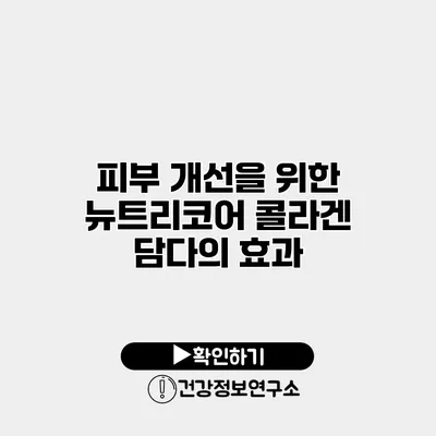피부 개선을 위한 뉴트리코어 콜라겐 담다의 효과