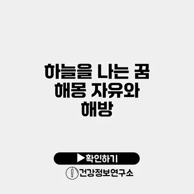 하늘을 나는 꿈 해몽 자유와 해방