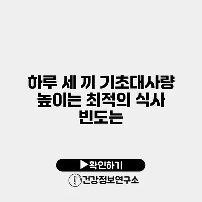 하루 세 끼 기초대사량 높이는 최적의 식사 빈도는?
