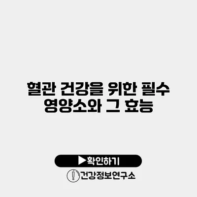 혈관 건강을 위한 필수 영양소와 그 효능