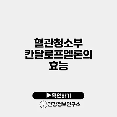 혈관청소부 칸탈로프멜론의 효능