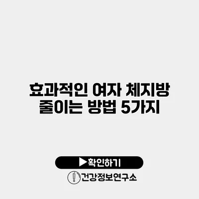 효과적인 여자 체지방 줄이는 방법 5가지
