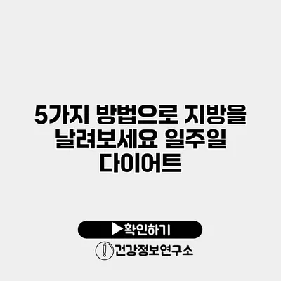 5가지 방법으로 지방을 날려보세요 일주일 다이어트