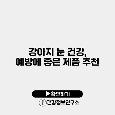강아지 눈 건강, 예방에 좋은 제품 추천