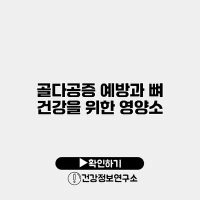골다공증 예방과 뼈 건강을 위한 영양소