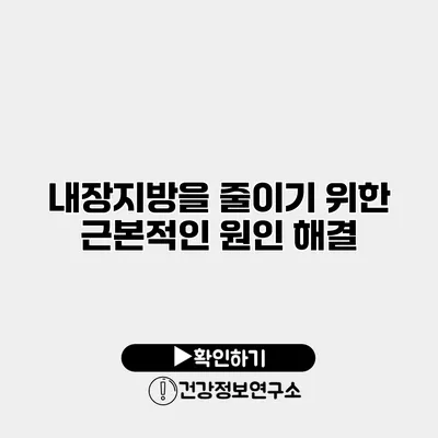 내장지방을 줄이기 위한 근본적인 원인 해결