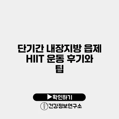 단기간 내장지방 읍제 HIIT 운동 후기와 팁