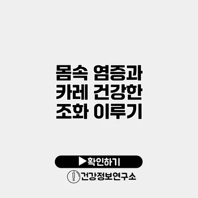 몸속 염증과 카레 건강한 조화 이루기
