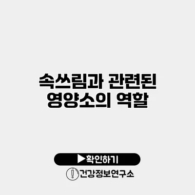 속쓰림과 관련된 영양소의 역할