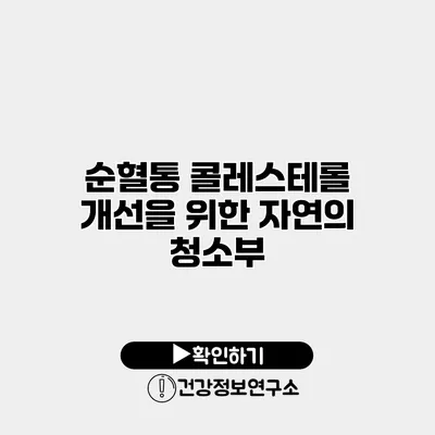 순혈통 콜레스테롤 개선을 위한 자연의 청소부