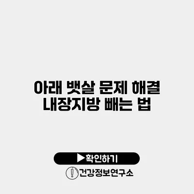 아래 뱃살 문제 해결 내장지방 빼는 법
