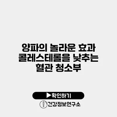 양파의 놀라운 효과 콜레스테롤을 낮추는 혈관 청소부