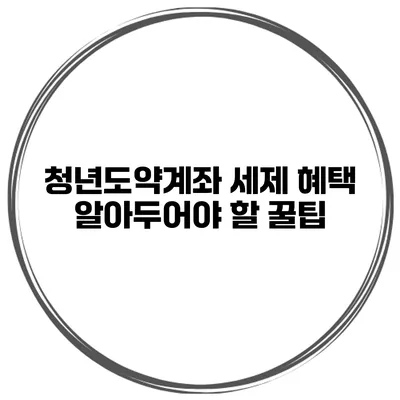 청년도약계좌 세제 혜택 알아두어야 할 꿀팁