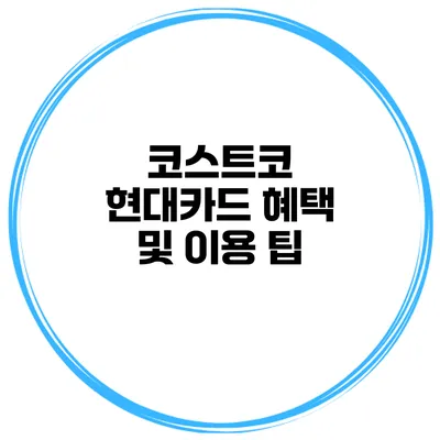 코스트코 현대카드 혜택 및 이용 팁