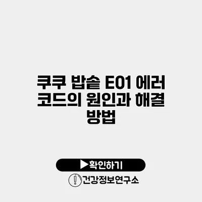 쿠쿠 밥솥 E01 에러 코드의 원인과 해결 방법