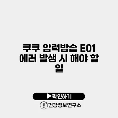 쿠쿠 압력밥솥 E01 에러 발생 시 해야 할 일
