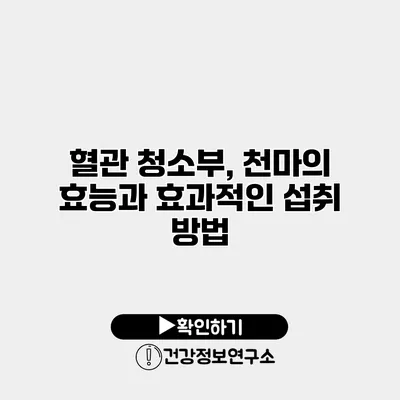 혈관 청소부, 천마의 효능과 효과적인 섭취 방법
