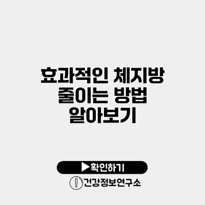 효과적인 체지방 줄이는 방법 알아보기